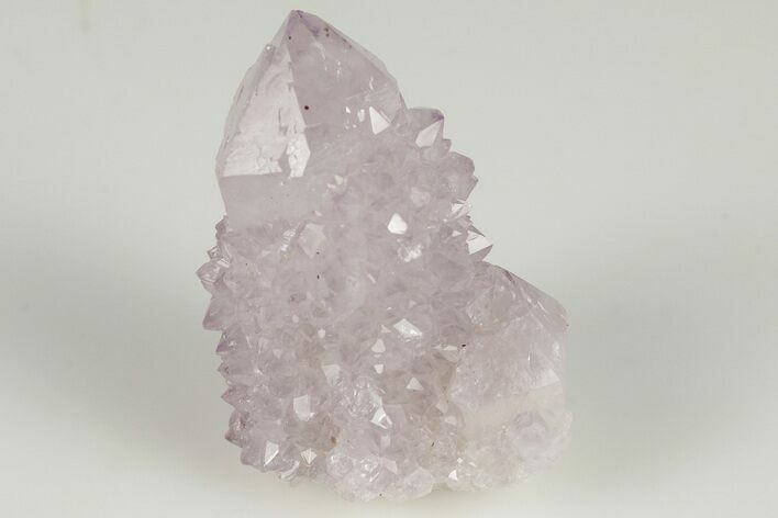 1.2" Cactus Quartz (Amethyst) Crystal- South Africa